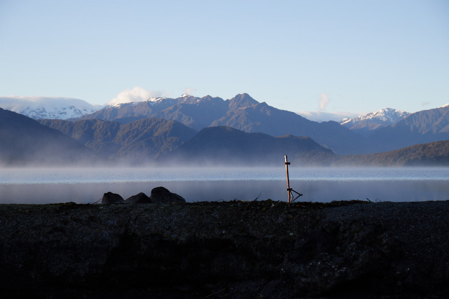 Drawing inspiration from concept of kaitiaki